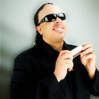 Stevie Wonder Tribute: Natural Wonder